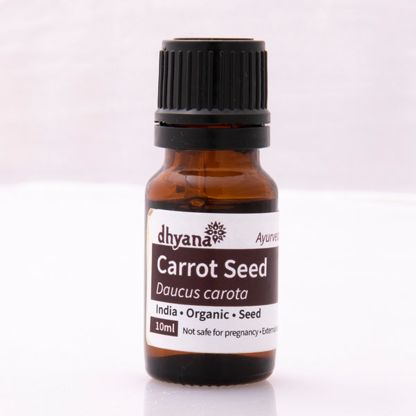 CARROT SEED