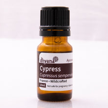 Load image into Gallery viewer, CYPRESS