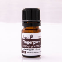 Load image into Gallery viewer, GINGERGRASS