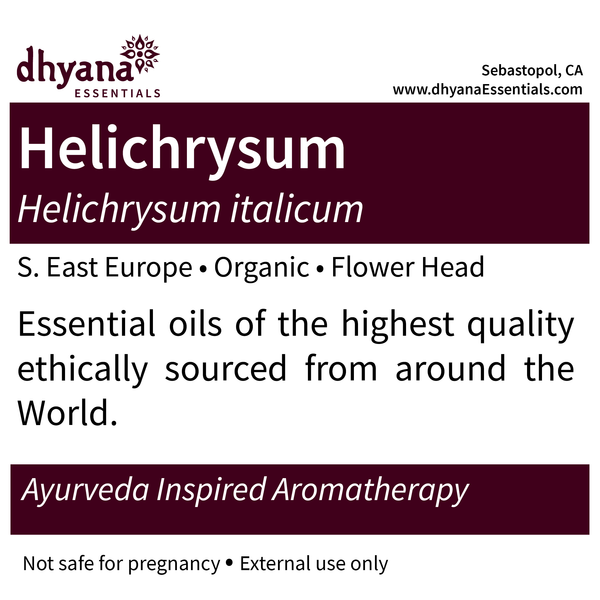 HELICHRYSUM