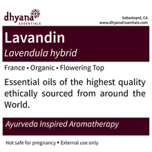 Load image into Gallery viewer, LAVANDIN