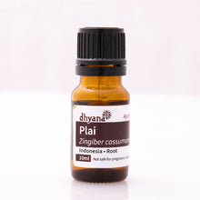 Load image into Gallery viewer, PLAI