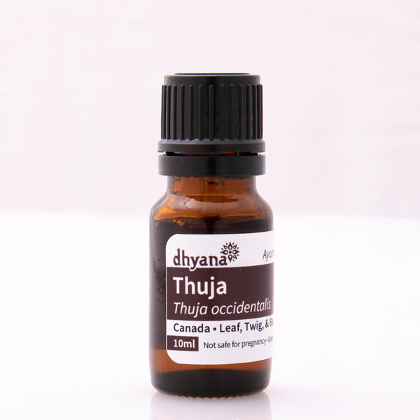 THUJA