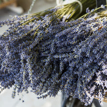 Load image into Gallery viewer, LAVANDIN