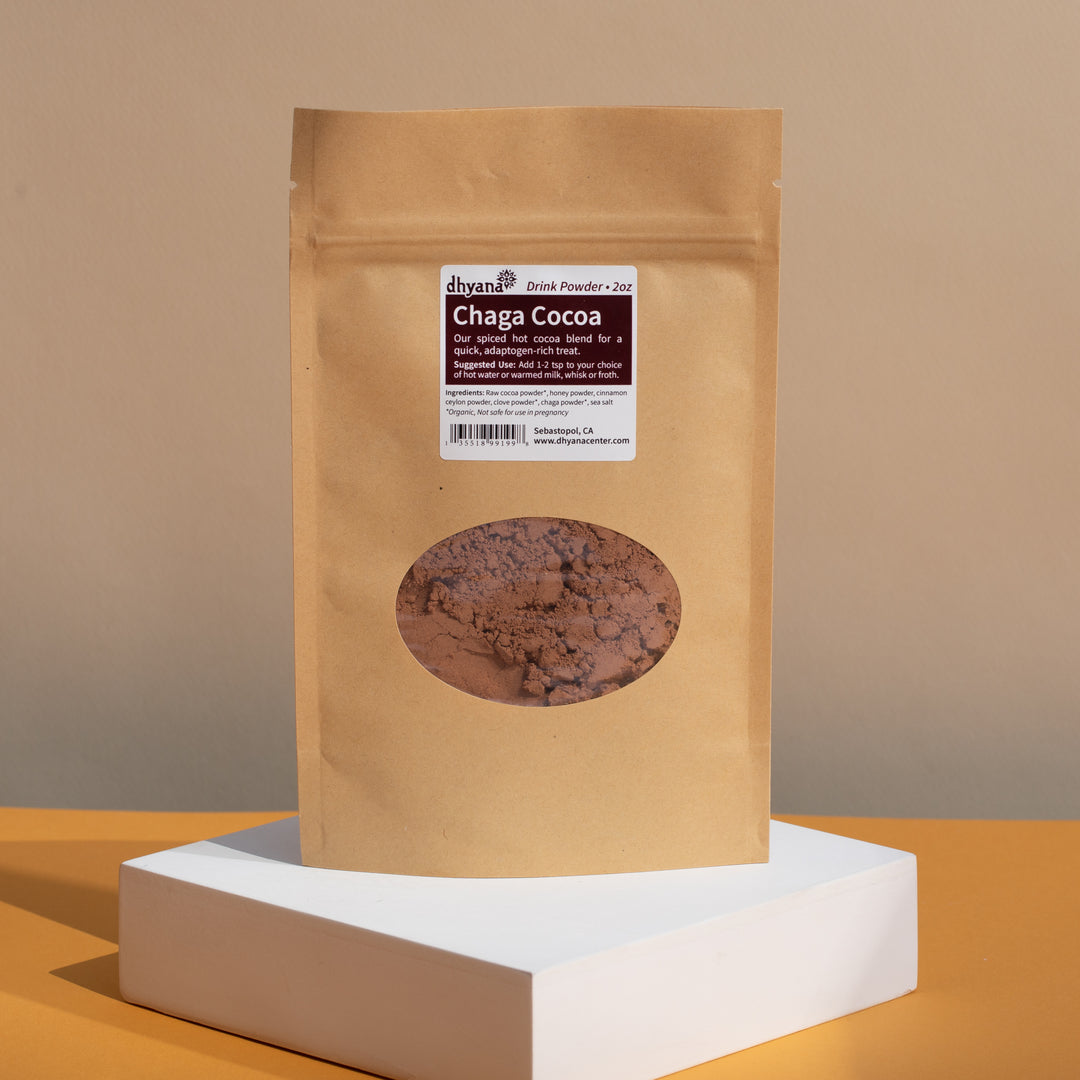 Chaga Cocoa