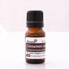 Load image into Gallery viewer, CINNAMON LEAF
