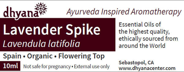 LAVENDER SPIKE