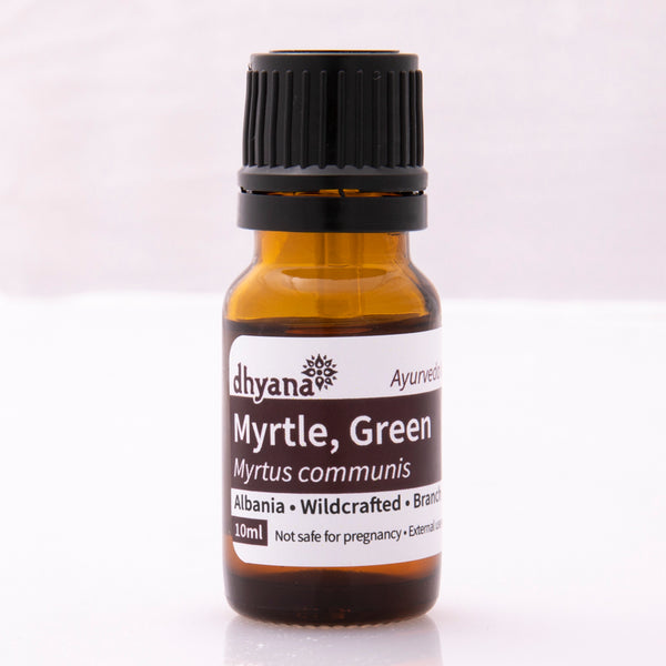 GREEN MYRTLE